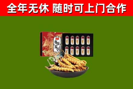 石家庄烟酒回收冬虫夏草礼盒.jpg